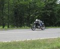 IMG_0554