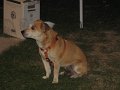 IMG_0685