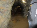 IMG_0229