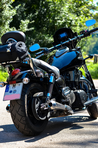 sommertreff201321_koppol0o.jpg