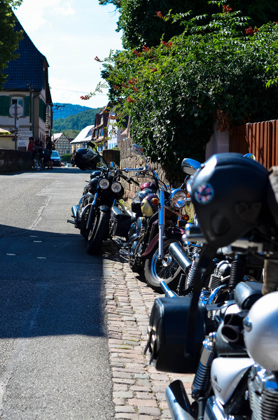 sommertreff201351vaqf9.jpg